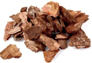 Pine Bark Extract